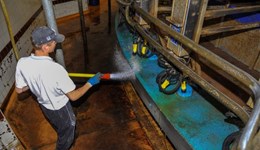 EuroDairy – Working conditions of dairy farmers